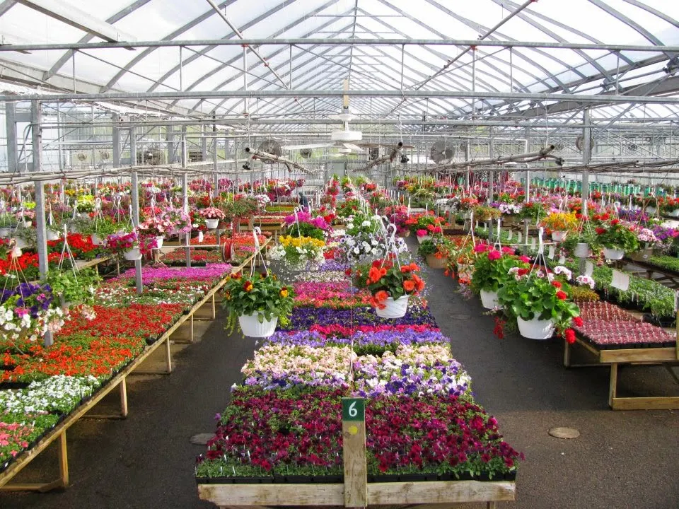 Horrocks Farm Market