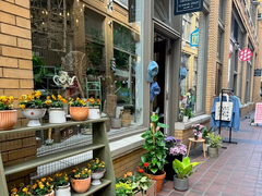 University Flower Shop