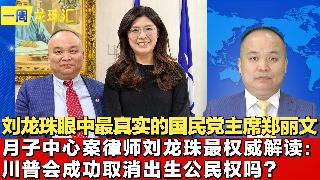 刘龙珠眼中最真实的国民党主席郑丽文 I 月子中心案律师刘龙珠最权威解读：川普会成功取消出...