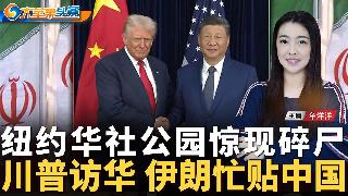 纽约华社公园 惊现人类遗骸；纽约华裔少年 千元球鞋被抢；纽约市长放弃上调房产税；美国4月...