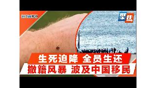 生死迫降 全员生还；撤籍风暴 波及中国移民；美蜱虫叮咬急诊爆表 危及生命；中国高学历移民...